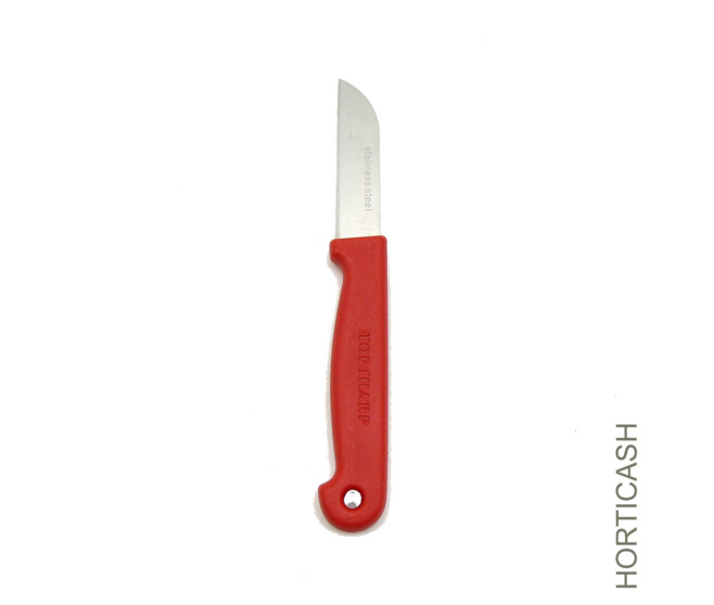 CARTE DE COUTEAUX H16CM x10