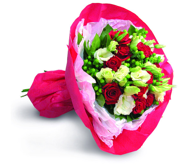 PAPIER DE SOIE 0.75X50M FUCHSIA