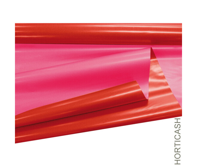CLAYRANE DUO 0.80X40M RUBIS/FUCHSIA