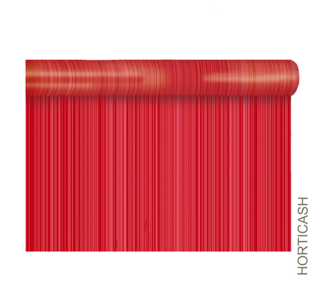 GAINE 0.80X50M RITMIC ROUGE