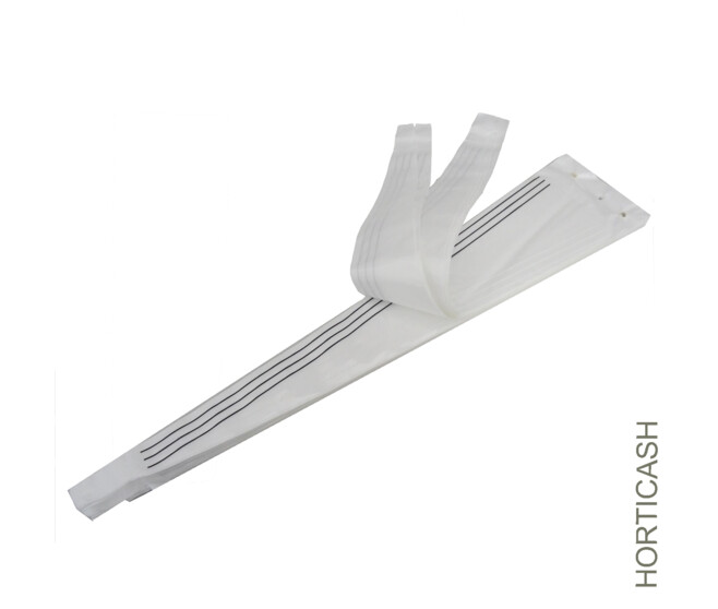 ETUI ALLURE 45X12X3CM NACRE x50