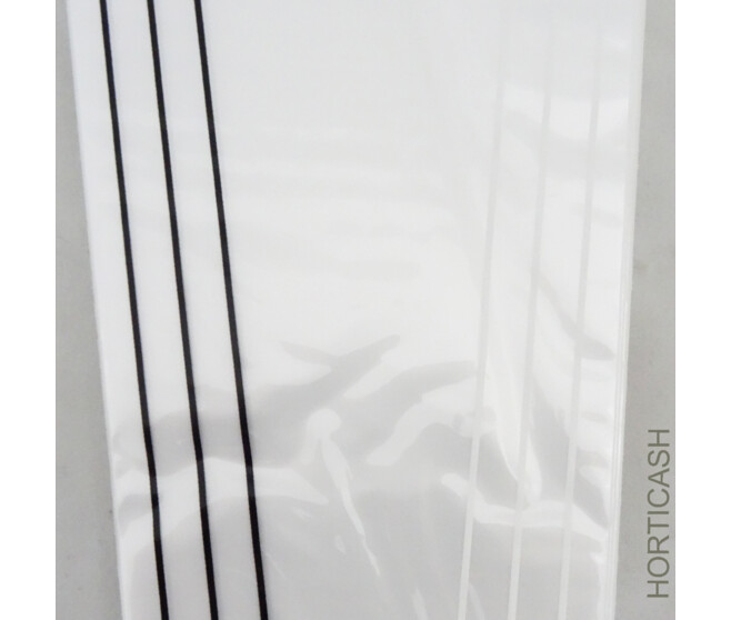 ETUI ALLURE 45X12X3CM NACRE x50