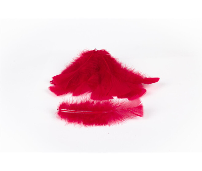PLUMES ROUGES