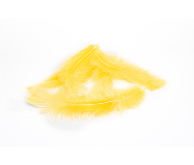 PLUMES JAUNES
