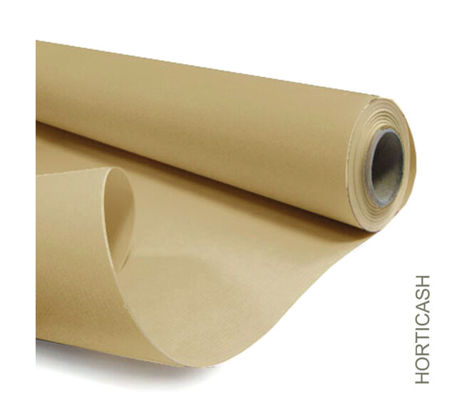 KRAFT 60GR 0.80X50M NEUTRE
