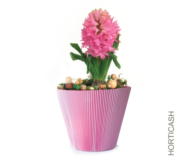 MANCHETTE UNIE 12CM ROSE x100