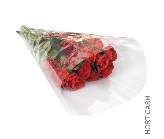 CONE 40X25X10CM BOPP40M NEUTRE X50 x50