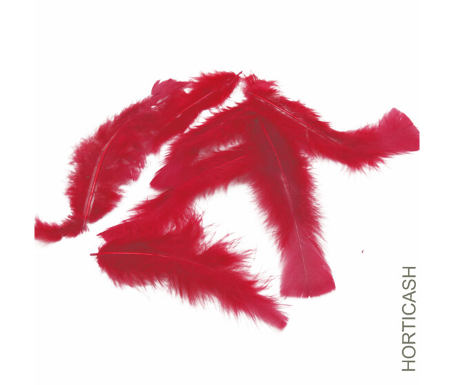 PLUMES ROUGES