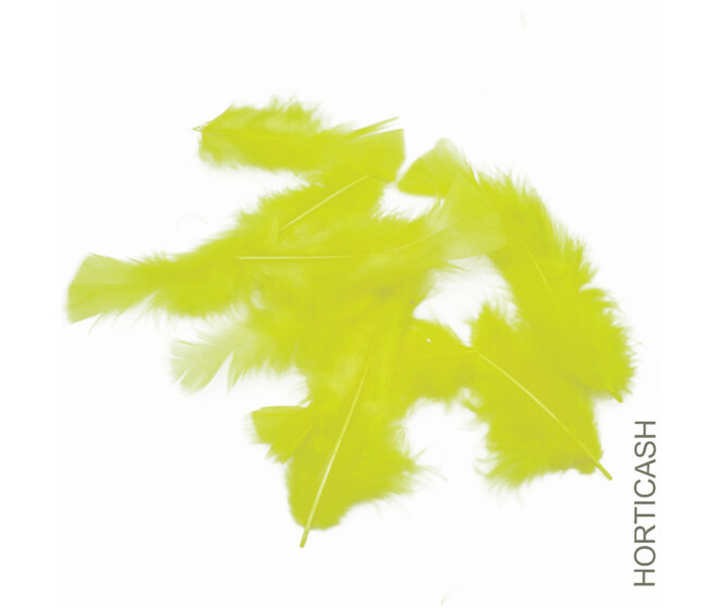 PLUMES JAUNES