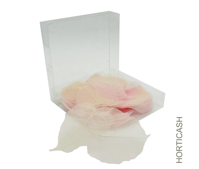 SKELETON LEAVES ROSE CLAIR X200PCS