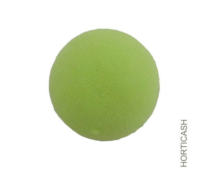 OASIS RAINBOW SPHERE D09CM VERT ANIS x4