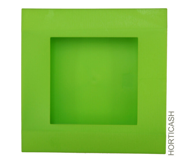 TABLEAU VEGETAL 25X25CM VERT ANIS