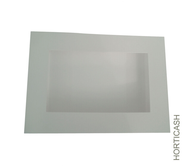 TABLEAU VEGETAL 35X25CM BLANC