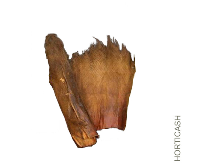 PALM FASER IND 500G NATUREL