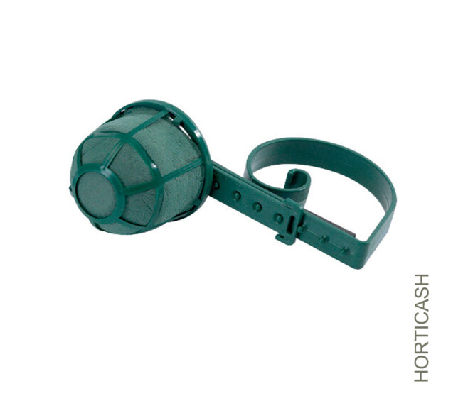 OASIS NAYLOR KLIP/BANC EGLISE PM x6