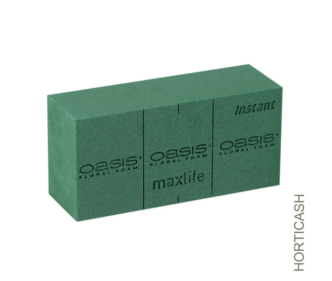 MOUSSE OASIS INSTANT BRIQUE 23X11X08CM x20