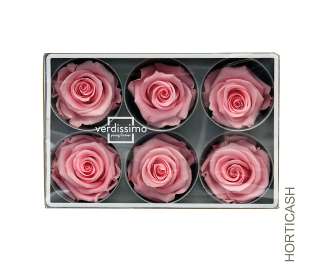 ROSES STABILISEES ROSE PASTEL x6