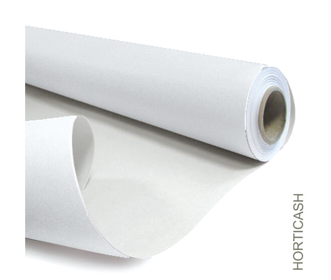 KRAFT BLANC 60GR 0.80X50M BLANC