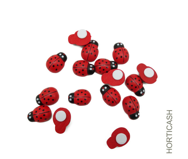 COCCINELLE 17MM A COLLER x80