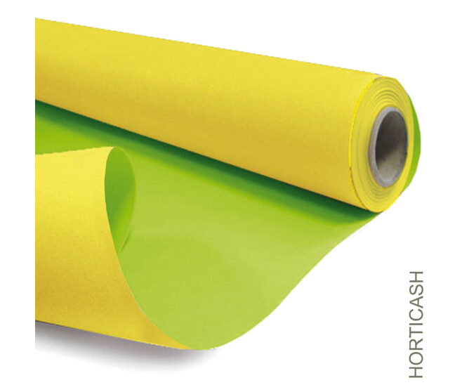 KRAFT DUO 0.80X40M JAUNE/VERT