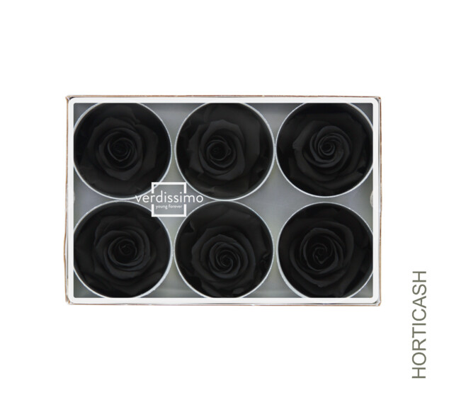 ROSES STABILISEES NOIRE x6