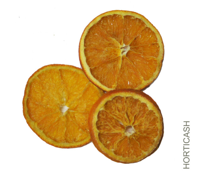 TRANCHES D'ORANGE 500GR ROUGE