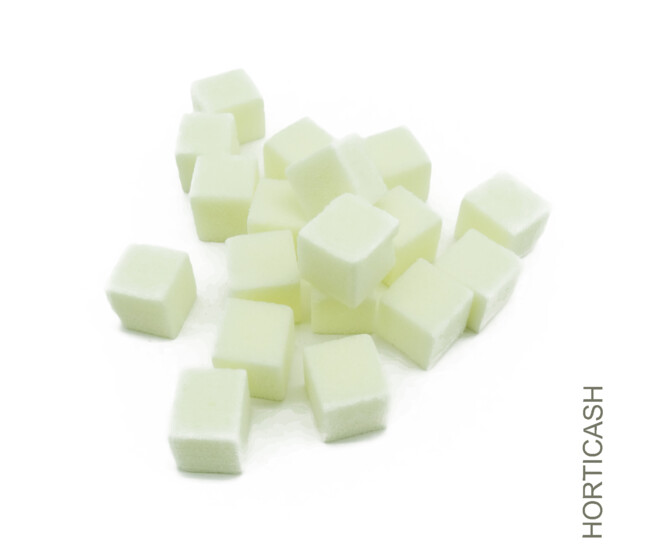 OASIS RAINBOW MINI CUBES 02CM IVOIRE x300