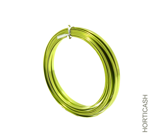 FIL ALU PLAT A/RAYURES 5MM 100G VERT POMME