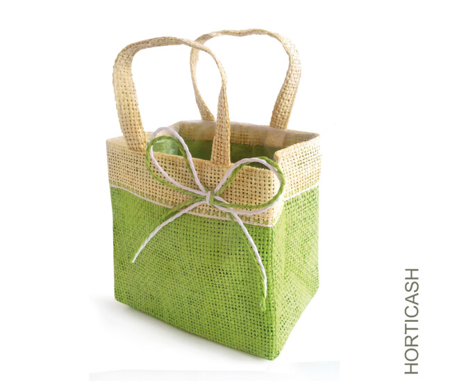 SAC TOILE FIJI 9.5X10X7CM VERT x10