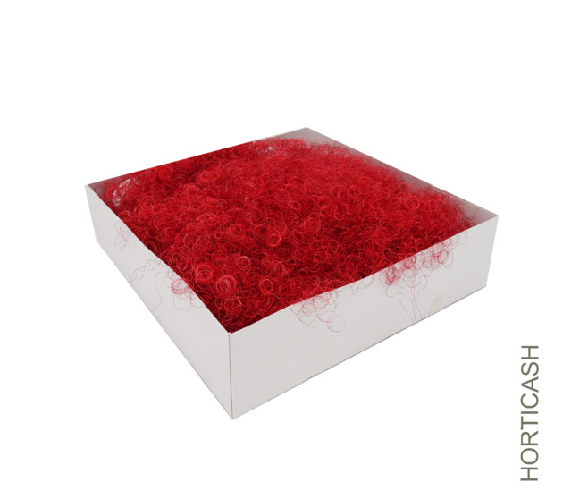 CHEVEUX D'ANGE 200G ROUGE