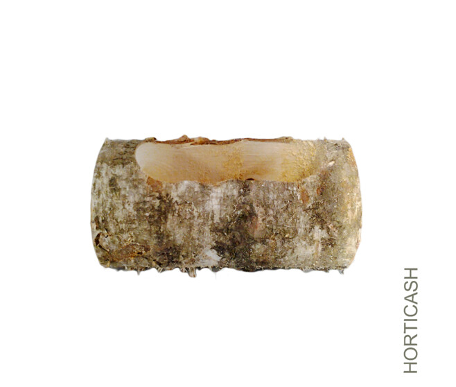 BUCHE BOULEAU L-20CM