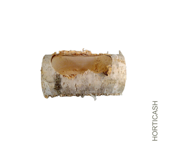 BUCHE BOULEAU L-17CM