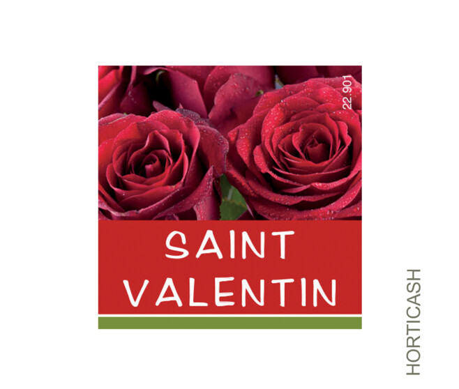 ETIQ JESO SAINT VALENTIN x500