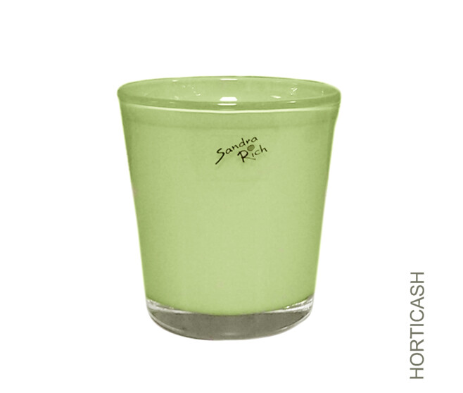 CP ORCHID D12.5 H13.5CM VERT