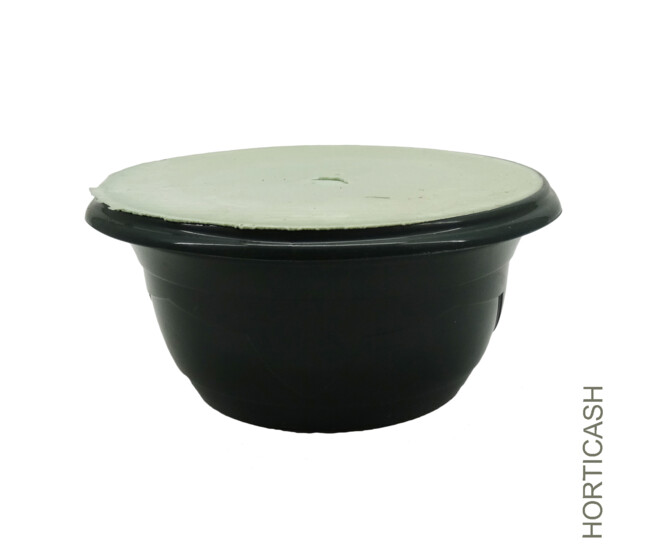 COUPE MILLESIA+MOUSSE 17CM VERT FONCE