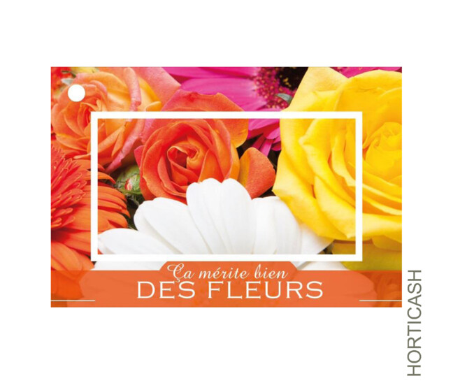 CARTES JESO BRILLANT G. CA MERITE BIEN DES FLEURS x10
