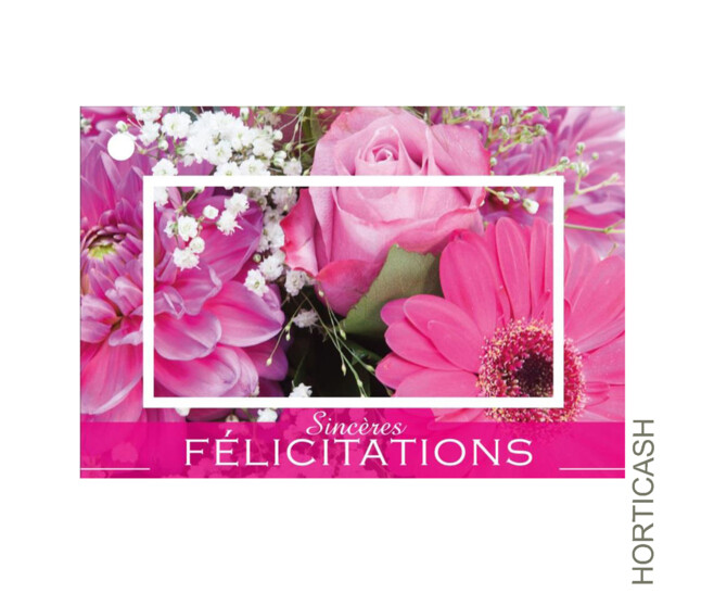 CARTE JESO BRILLANT G. SINCERES FELICITATIONS x10
