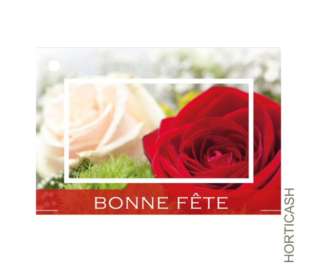 CARTE JESO BRILLANT G. BONNE FETE x10