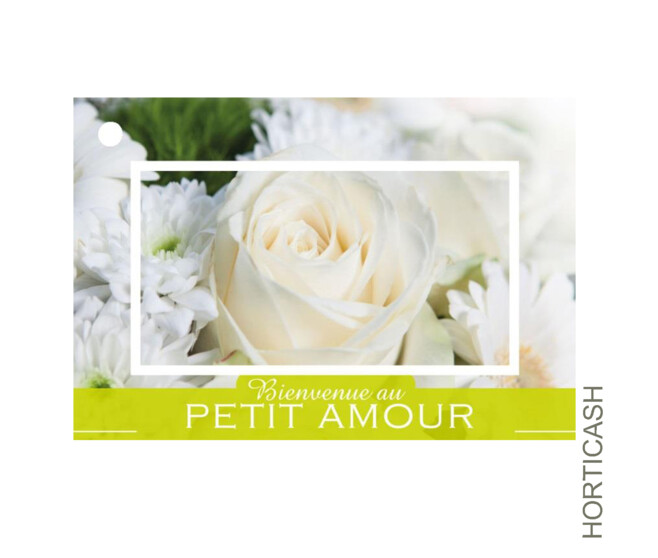 CARTES JESO BRILLANT G. BIENVENUE AU PETIT AMOUR x10