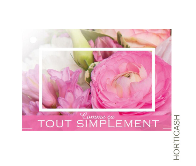 CARTE JESO BRILLANT G. COMME CA TOUT SIMPLEMENT x10