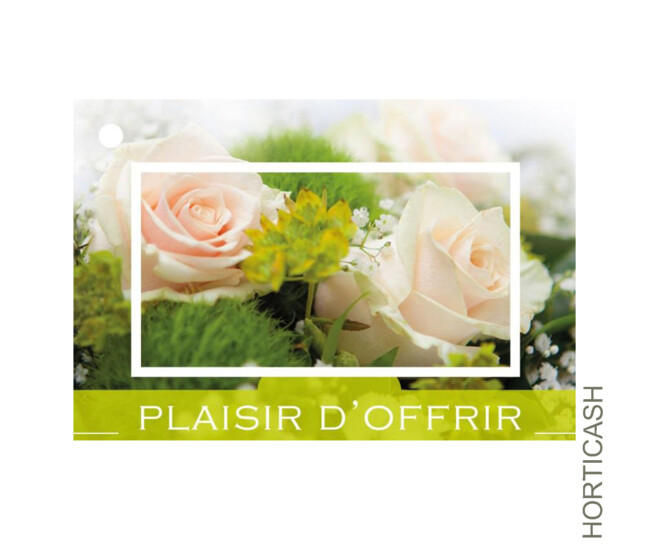 CARTES JESO BRILLANT G. PLAISIR D'OFFRIR x10