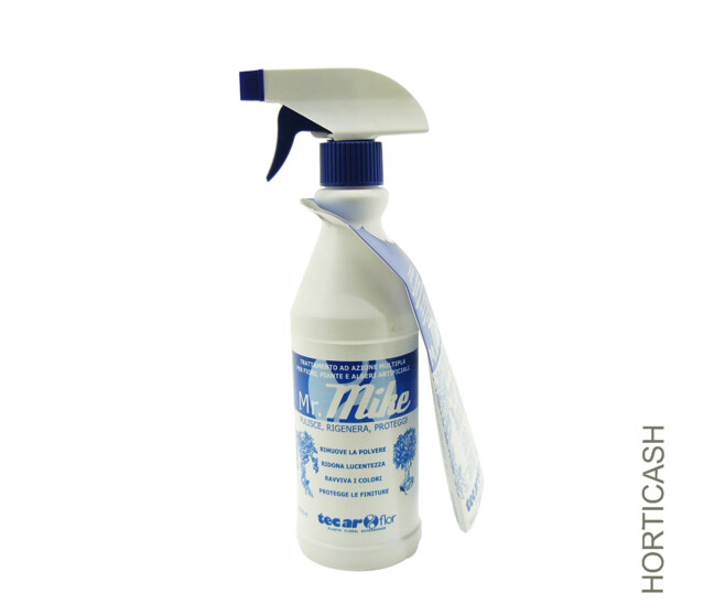 PRODUIT NETTOYANT TERGAL MR MIKE 500ML