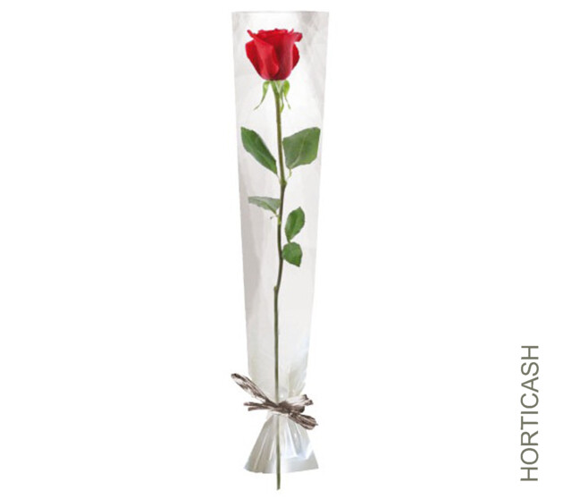 ETUI A ROSE 16X80CM BLANC x100