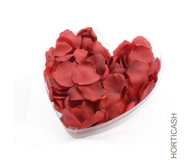 PETALES DE ROSE ROUGE DS BOITE CADEAU