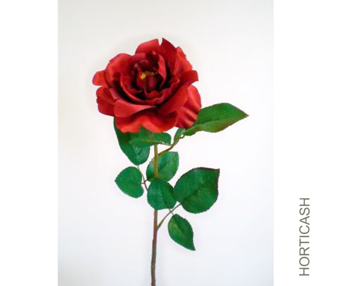 ROSE OUVERTE X1 ROUGE