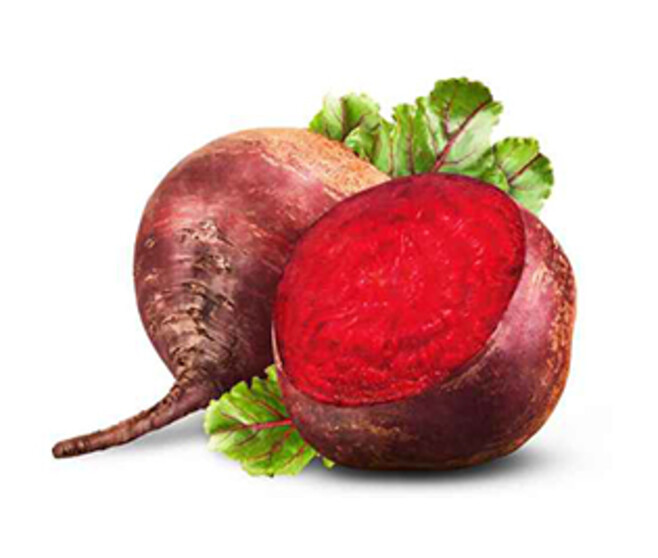 BETTERAVE ROUGE RONDE RHONDA BQ6