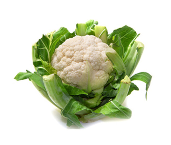 CHOU FLEUR AVISO BQ6