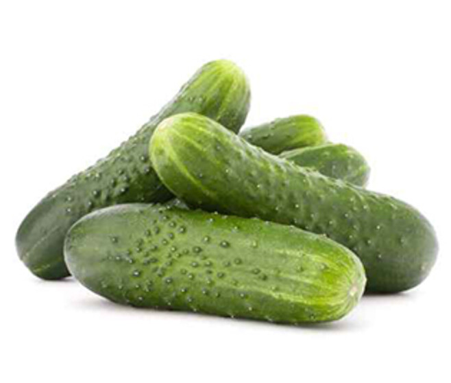 CORNICHON PARIGYNO BQ6