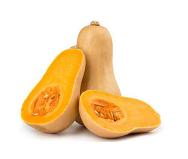 COURGE BUTTERNUT ZENITH BQ6