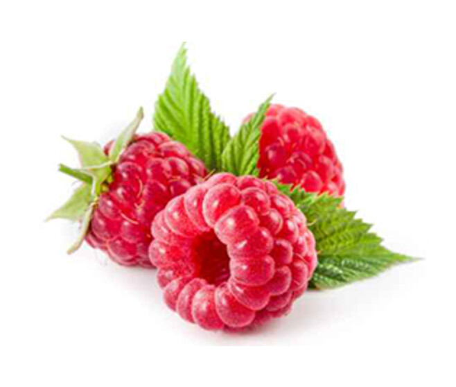 FRAMBOISIER NON REMONTANT MALLING